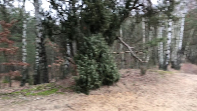 Łużowa Góra — fotografia 2