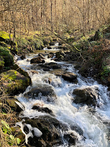 Cascada Şopot — fotografia 4