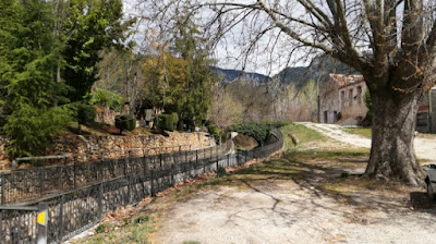Asador de Leña Emilio — fotografia 5