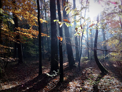 Jezioro Chańcza — fotografia 5