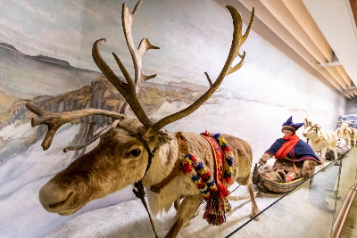 Arctic University Museum of Norway — fotografia 3