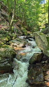 Bistriški vintgar — fotografia 3