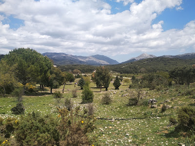 Área Recreativa Conejeras — fotografia 4
