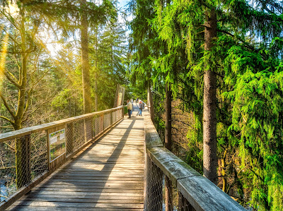 Baumwipfelpfad Bavarian Forest — fotografia 5