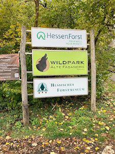 Wildpark Alte Fasanerie — fotografia 4