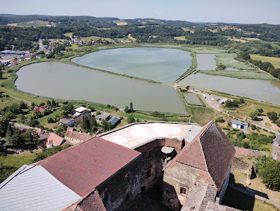 Güssing Castle — fotografia 5