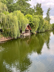 Parcul "Pădurea Vedea" — fotografia 5