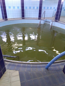 Slatina Banja - Slatina SPA — fotografia 5