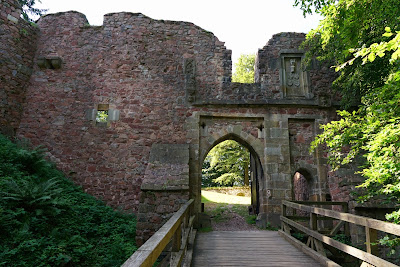 Castle Litice — fotografia 4