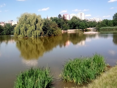Hamerský rybník — fotografia 3