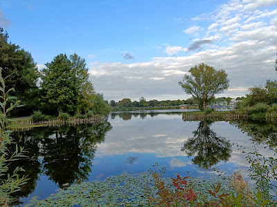 Salzgittersee — fotografia 5
