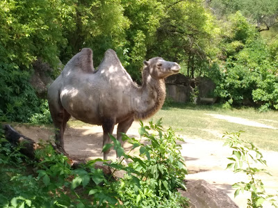 Národná zoologická záhrada Bojnice — fotografia 3