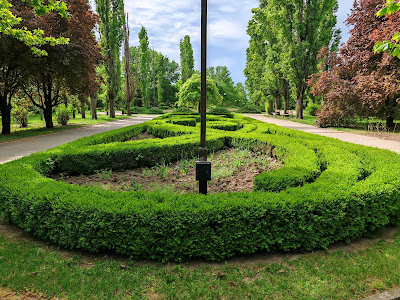 Grădina Botanică Galați — fotografia 5