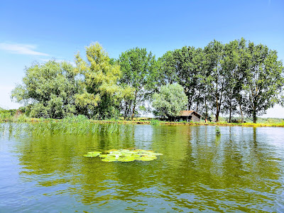 Lacul Isăccel — fotografia 5