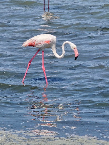 Las Salinas de San Pedro — fotografia 5