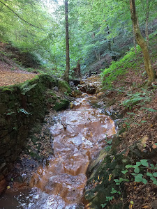 Guber banja