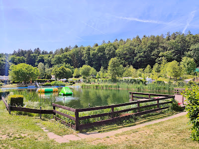 Odenwaldidyll campsite — fotografia 4