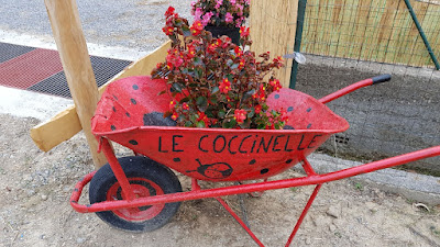 Agricampeggio Le Coccinelle — fotografia 3