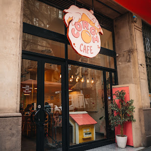 Corgi Cafe | Eixample — fotografia 5