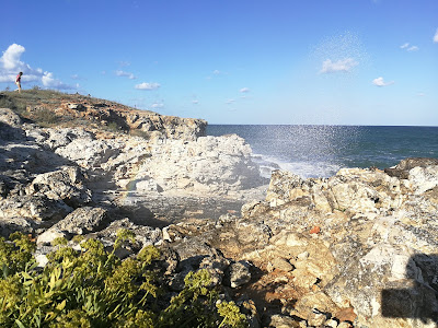 Seal cave — fotografia 5