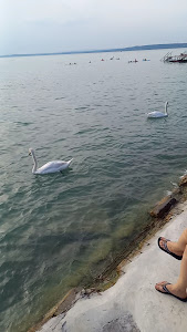 Balatonvilágos Községi Strandfürdő — fotografia 2