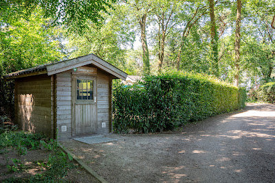 Camping Zuid Ginkel — fotografia 4