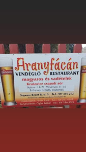 Aranyfácán Vendéglő Sopron — fotografia 5