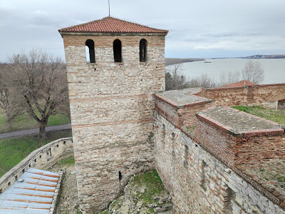 Cetatea Baba Vida — fotografia 4