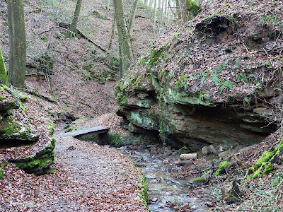 Seltenbachschlucht — fotografia 4