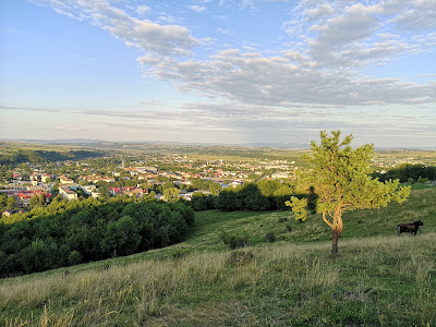 Parcul Municipal Moinești — fotografia 3