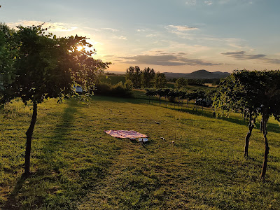 Campingplatz Bergwiese — fotografia 5