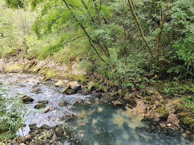 Krupajsko vrelo - Lepota prirode — fotografia 4