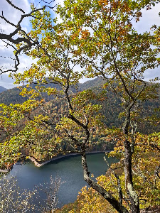 Piatra lui Lucaci — fotografia 5