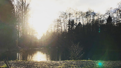 Fischers Park