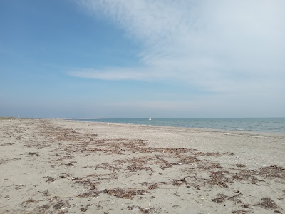 Spiaggia di Ca' Roman — fotografia 4