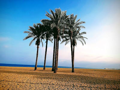 La Romanilla beach — fotografia 5