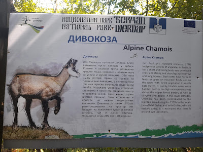 Vidikovac Ploče — fotografia 3