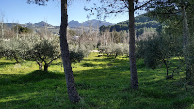 Paraje Natural Santa Ana — fotografia 5