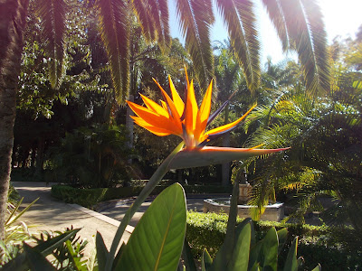 Málaga Park — fotografia 5