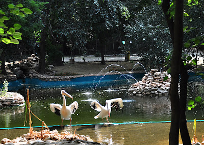 Varna Zoo