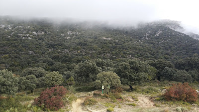 Sendero El Torreón — fotografia 4