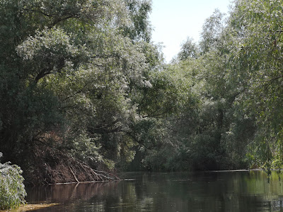 Lacul Isăccel — fotografia 4
