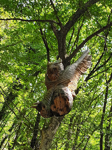 Sentiero Spirito Del Bosco — fotografia 3