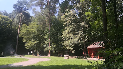 Miejsce na ognisko i biwak. — fotografia 4