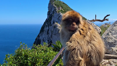 Gibraltar Rock — fotografia 2