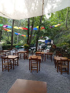 Restaurante Charcon (casa Antonio y Paqui) Guejar sierra, Granada — fotografia 5