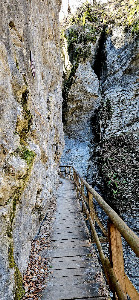 Pokljuka Gorge — fotografia 4