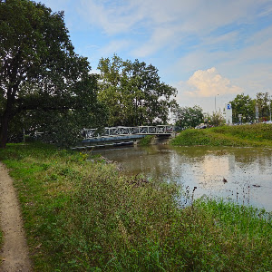 Oporowski Forest — fotografia 5