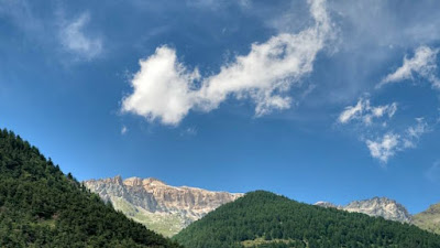 Gran Bosco Camping & Lodge — fotografia 4