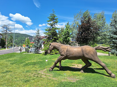 Parcul Poiana lui Caliman — fotografia 5